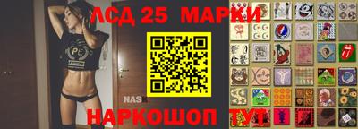 прущие грибы Каменск-Шахтинский