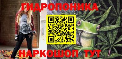 прущие грибы Каменск-Шахтинский